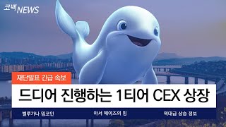 [벨루가나]드디어 진행하는 1티어 CEX 상장! 아서 헤이즈의 밈코인 대박 쳤습니다 바이낸스 그 다음은 코인베이스?!