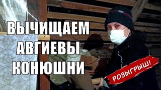 22. РАЗБОР АВГИЕВЫХ КОНЮШЕН. НАВЕДЕНИЕ ПОРЯДКА НА СКОТНОМ ДВОРЕ.