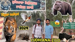 Ludhiana Zoo || Tiger Safari Ludhiana || Ludhiana Chidiya Ghar || Full Details ||@Rohitsahibexplore