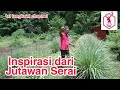 Inspirasi dari Jutawan Serai