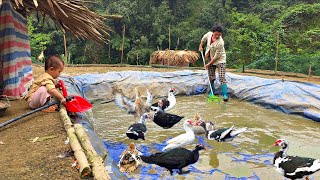 Ly Tieu Cas farm life as a single mother: A simple life in the wilderness.