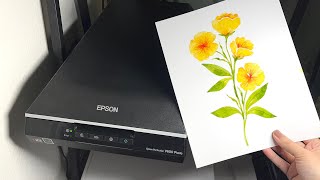 Quick Review: Can this scan high quality artwork? Epson V600 Scanner