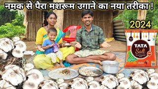 🍄 नमक से पैरा मशरूम उगाने का नया तरीका.! 🤫 |#srekkavlogs #mushroom #food