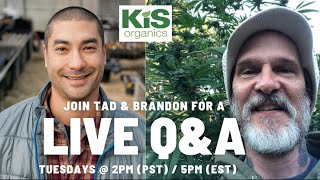 Q and A Live with Tad Hussey and Brandon Hudson