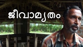 Mixed Organic Farming methods by using the Organic Fertilizer Jeevamrutham | ജീവാമൃതവും ജൈവ കൃഷിയും