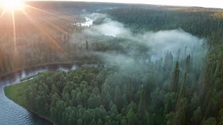 Päähkänänkallion aamu-usva kesällä 2020