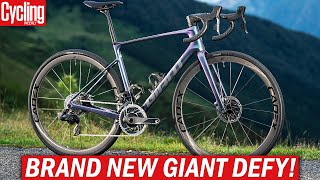 NEW! 2024 Giant Defy | One Of The Last True Endurance Road Bikes?