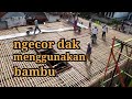 - vlog#3 ngecor dak menggunakan bambu akal-akalan @cah ndeso || don't use spices