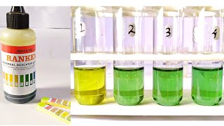 Water pH Test Practical Experiment