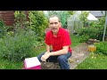 Using BOVIS scale dowsing chart and pendulum to test energies in the garden