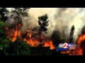 Raw video: Port Orange brush fire closes road