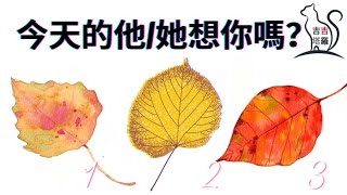 【#1893】【塔罗·字卡·占卜】今天的他/她有想你嗎？ |  光先知塔罗 | 浪漫天使指引卡 | 瘋狂愛筆記神諭占卜卡 | 彩虹卡🌈 (無時間限制)