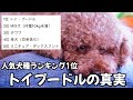 15年連続人気犬種トイプードルの真実。