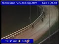 igb gain dog nutrition corn cuchulainn semi final 02 08 2019 race 9 shelbourne park