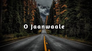 O jaanwaale ( Bollywood Lofi ) | Lofi Flip | ( Slowed + Reverb )🔥