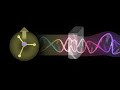 The origin of Electromagnetic waves, and why they behave as they do