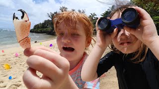 BEACH TREASURE HUNT in Hawaii 👀  Adley & Niko finding eggs, easter candy, and our new Summer Merch!!