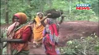 MNREGA Fails In Indragarh of Kandhamal