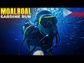 Moalboal Sardine Run: Scuba Diving in the Philippines 🇵🇭
