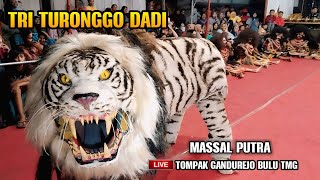 JARAN KEPANG TRI TURONGGO DADI TOMPAK GANDUREJO BULU TEMANGGUNG