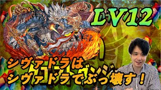 【無課金パズドラ】7月クエスト12を「もしかしたら逆だったかもしれねェ」シヴァドラ編成で攻略！【しばいぬ丸＃125】