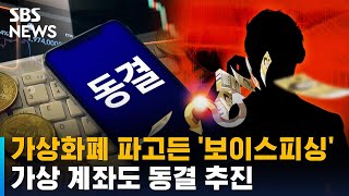 가상화폐 파고든 '보이스피싱'…가상 계좌도 동결 추진 / SBS