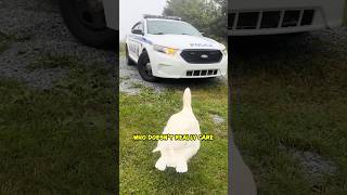 This Goose Always Gets Attention of Police! 😱 #shorts