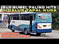 Knalpot Serigala Andalan Cepat ❗️ Bumel Paling Hits Di Tapal Kuda ❗️| trip LADJU “ Pelari Pantura “