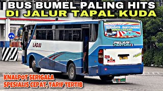 Knalpot Serigala Andalan Cepat ❗️ Bumel Paling Hits Di Tapal Kuda ❗️| trip LADJU “ Pelari Pantura “