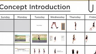 Transition Program Overview