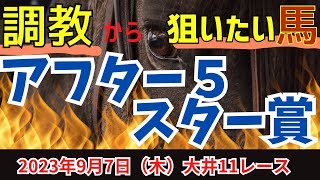 【アフター5スター賞 2023】東京記念は◎▲1,3着！本日も好メンバーなスプリント戦【競馬】