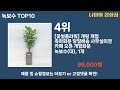 가장 많이 팔린 녹보수 추천 top10