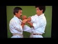 tensho kata and bunkai shogo kuniba soke