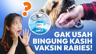 Waktu Tepat Memberikan Vaksin Rabies