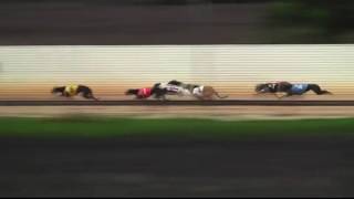 Gunnedah-21-01-2017-Race-5