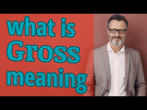 How do you use the word gross?