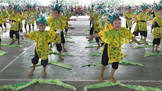 Pinyahan Festival 2018 | Pineapple Festival 2018