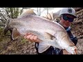 SOUTH EAST QUEENSLAND FISHING TRIP