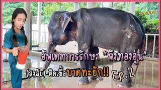 อัพเดทอาการ “พังทองอุ่น” (สงสัย)ติดเชื้อ \