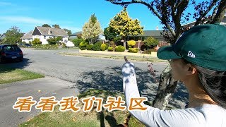 带你们看看我们生活的社区（新西兰 Harold Vlog 553）