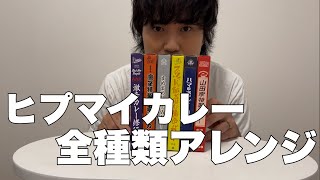 ヒプマイカレー全種類アレンジして勝手に『Nozuyama Division Curry Battle」開催！