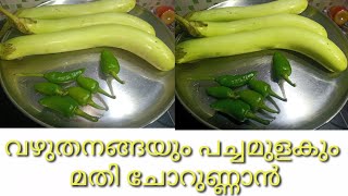 വഴുതനങ്ങയും പച്ചമുളകും മതി ചോറുണ്ണാൻ|Vazhuthananga Curry| Brinjal Stir Fry | Green Brinjal Malayalam