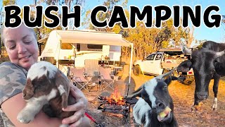 BUSH CAMPING and CARAVANING Adventure: Why we LOVE going OFFGRID