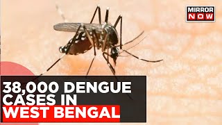 Dengue Cases Rise To 38,000 In West Bengal | City Of Joy Turns To City Of Disease? | Daily Mirror