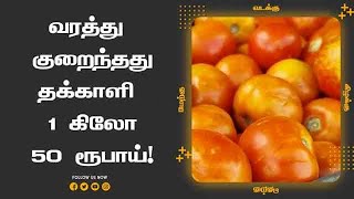 வரத்து  குறைந்தது தக்காளி  1 கிலோ 50 ரூபாய்!