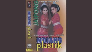 Mojang Plastik