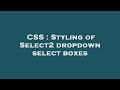 CSS : Styling of Select2 dropdown select boxes