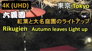 【4K】東京 六義園 紅葉と大名庭園のライトアップ Rikugien Autumn leaves and light up of the daimyo garden