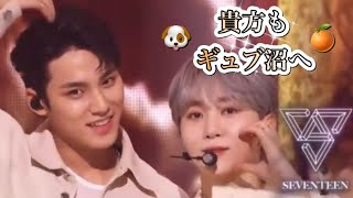 SEVENTEEN 세븐틴 セブチ ギュブってる🐶🍊 (ミンギュ🐶)(スングァン🍊)