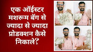 क्या 1 बॅग से 1kg फ्रेश ऑयस्टर मशरूम निकलता है? || Team GBS - 7977901669